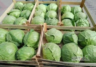 /images/posts/2025/06/2017235/gEUertlIU81KolXcaLAR1N0XfNfqXYBB1jJiZNum.jpeg