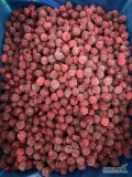 Sprzedam IQF wiśnie, pochodzenie: Bułgaria, gatunek Oblaczyńska, bez pestek, brix 18-21, średnica: 16-20mm, w kartonach po 10kg netto,...