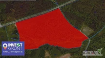 [17,48 ha] przetarg nieograniczony na bezterminową dzierżawę gruntów rolnych [powiat trzebnicki, woj. dolnośląskie] użytek...