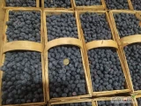 Sprzedam ładnego bluecrop. Pierwsze rwanie, ładny, gruby z nalotem. Cena 16 zł 