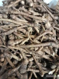 Sprzedam sadzonke 1 tone w cenie 14zł/kg, jedynke w cenie 12zł/kg ilość 10 ton oraz przemysł ok 10 ton