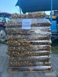 Sprzedam młode ziemniaki pakowane w worku wiązanym po 15 kg więcej informacji pod numerem telefonu 690018313 - ilości tirowe 