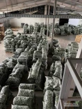 Numele companiei noastre este ALROB Distribution 2020 SRL, iar de curând a început sezonul legumelor proaspete în România. 
