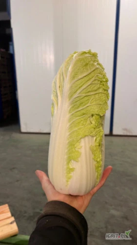 /images/posts/2024/08/1900707/Mr4ptv3WJKeO0jTyMNXFchhagwFvGIzkND4WKvZ0.jpeg