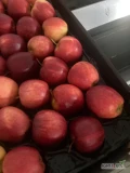 Sprzedam
