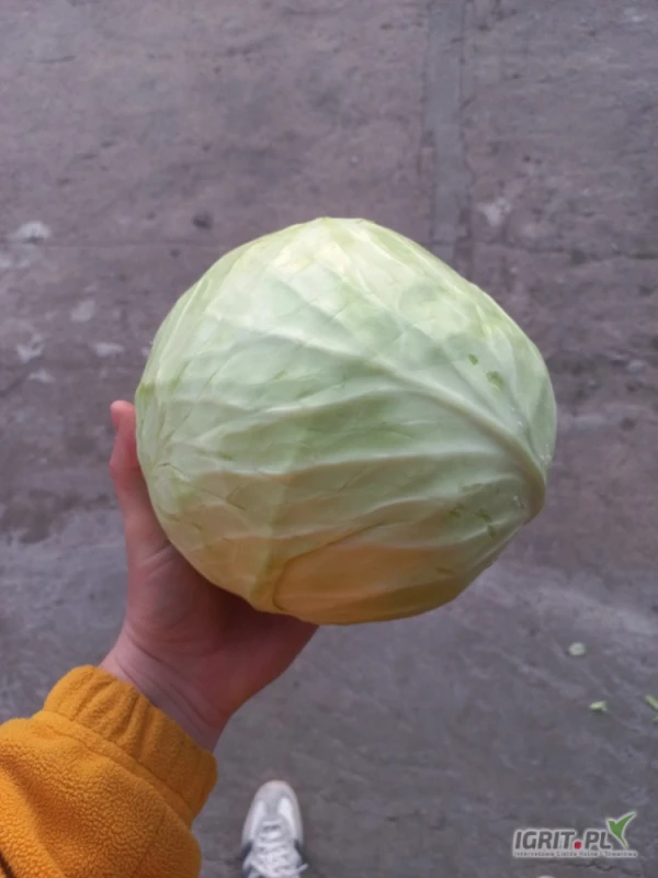/images/posts/2025/03/1993205/upefOx46iwYla6U4ZFWUJTYi3FmCdkIg2dXIPM6d.jpeg