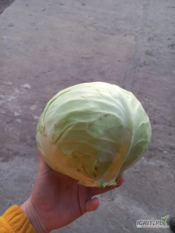 /images/posts/2025/03/1993205/ktQvXFYRYyHxichUdZBEOA4haLxeMgIM94xiewDO.jpeg