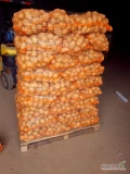 Sprzedam ziemniaki jadalne odmiana SORAYA 3000 kg,   LORD 2000 kg. Przygotowane w woreczku po 15 kg na paletach . W razie pytań zapraszam...