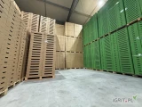 GL Group jest doświadczonym producentem opakowań kartonowych i plastikowych, stawiamy na innowacyjne rozwiązania technologiczne i...
