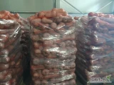 Sprzedam 22t dynia pizmowe, 2-4kg.
