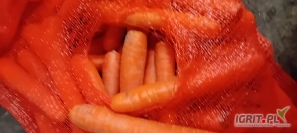/images/posts/2025/01/1963374/phAEZyNqKp7qT4srP92oVC7U5crtNyWhSEnvHuhb.jpeg