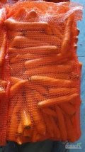 Kupie marchew myta, kal.2-4 worek szyty 10kg,ilosci paletowe