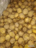Do sprzedania posiadam około 500 kg ziemniaków drobnych Riviera. 