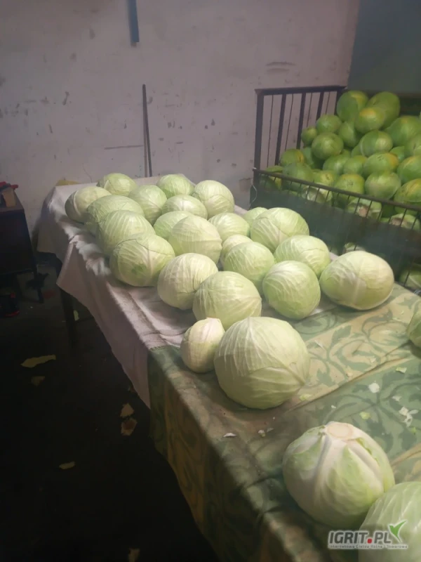 /images/posts/2025/04/1994258/dtjukjg298r3o0bY4bCRFKQL2F7CUeBxog4F0d6w.jpeg