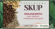 Kupię ekologiczną pszenicę paszową oraz pszenżyto, owies, kukurydzę i inne. Terminowy odbiór, szybka płatność. Zapraszam do...