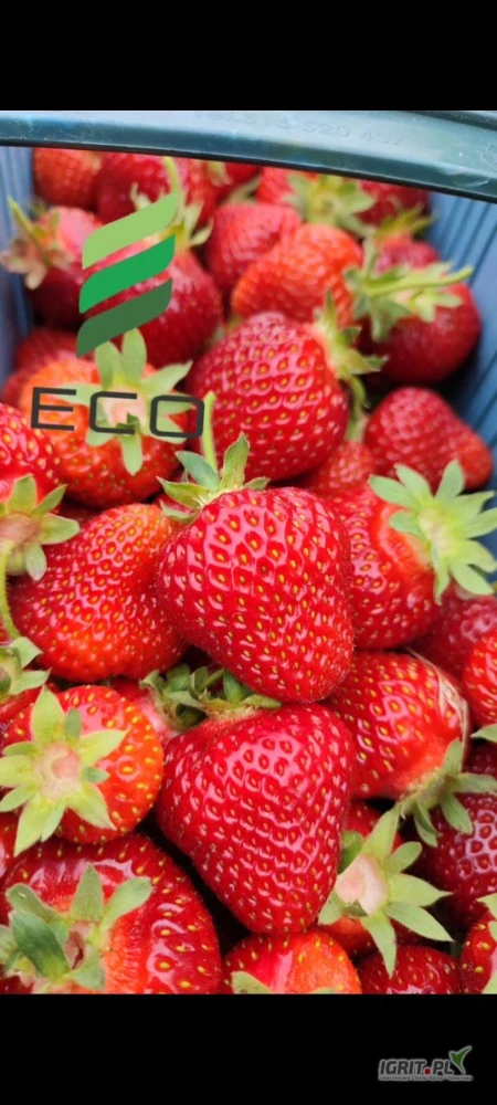 /images/posts/2025/06/2017651/pDlCC1IkPjvQIGkeh1oMZsLWVmGcZWfdKeh8jHVS.jpeg