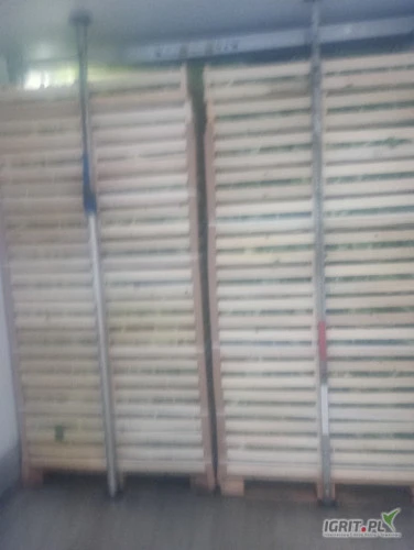 /images/posts/2025/01/1963531/yRMv4TDLh09H0H9XKGW6VjiughNNDtfF2HmGy7dJ.jpeg