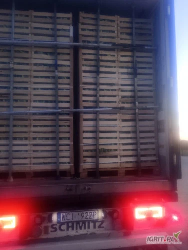 /images/posts/2025/01/1963531/xK3Q1Knqd7FwVRoTV9jWCQUr4Z0HVWkHXq9UMAjy.jpeg