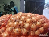 Sprzedam cebulę Hytune kaliber 4,5-7cm fazorowana z ładną złocistą łuską. Możliwość poworkowania w woreczki 15kg. Ilości tonowe.