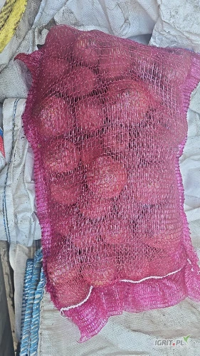/images/posts/2025/03/1982428/5QqecUDpd4J9HGAZbXSYrICdfrdSNXctdK1UTMKM.jpeg