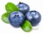 Firma Blue-Hill Farms Machnatka -Parcela