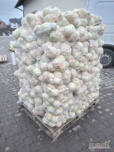 /images/posts/2025/03/1981415/HU9CBRnIk9CrSoyQpRxxWMlwmJ3fuOgB8PhSJ6nk.jpeg