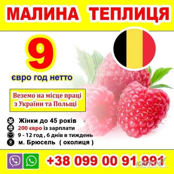 /images/posts/2025/03/1993235/bI2ehPsXtghSJVh5nNhLnEga2BAHpZ63f353j90Z.jpeg