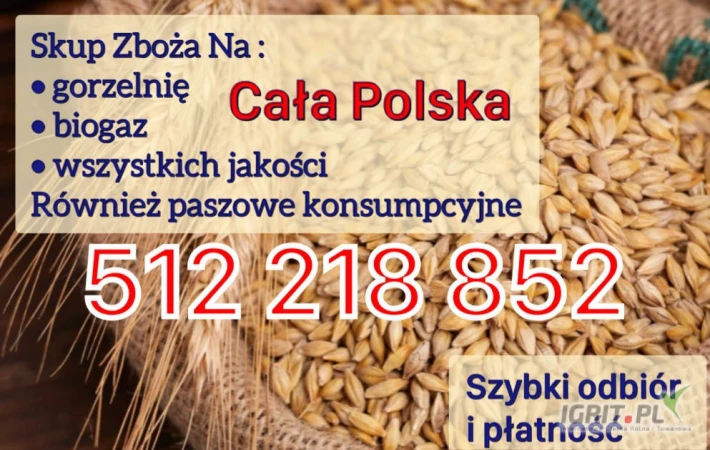 /images/posts/2025/05/2007041/H7HQNDCWSVw43F9jVrSQxg8uNtiKETr0GLLYJ0WG.jpeg