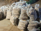Sprzedam pietruszkę układana po 5kg 