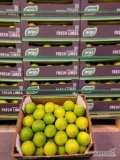Limonka 4,5 kg Brazylia - świeża dostawa Warszawa
