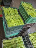 Szparagi seledynowe w opakowaniu 500g . Zapraszam do zakupu