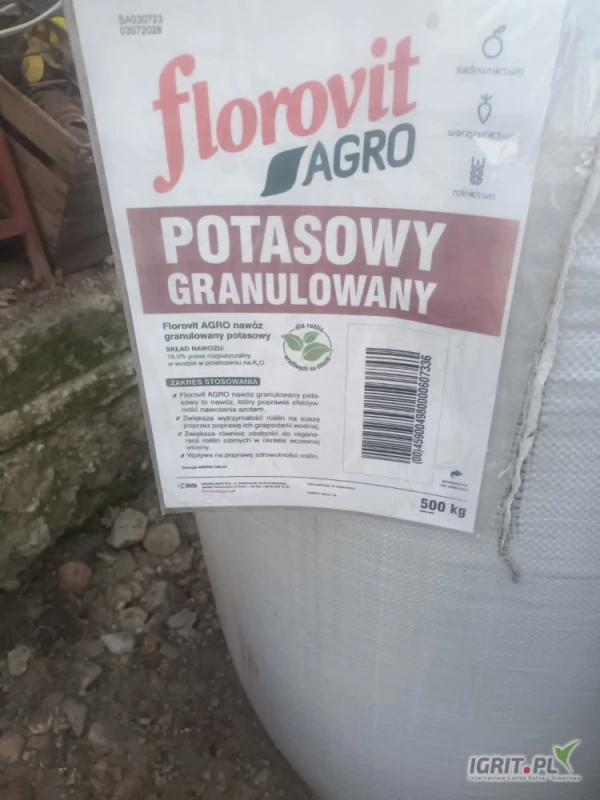 /images/posts/2025/03/1983357/HvoFrhUGPASytyT5JOXehvfUS266XzM8AyxafFJ5.jpeg