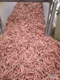 Sprzedam marchew do mycia import Holandia z dostawą do klienta lub odbiór osobisty. Jakość marketowa oraz towar grubszy dla przemysłu...