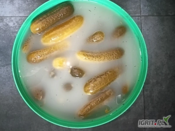 /images/posts/2025/05/2006741/tuDjQxjKWzSWZ9Y13UQecX3EDbYPW0QeuTmJwTvy.jpeg