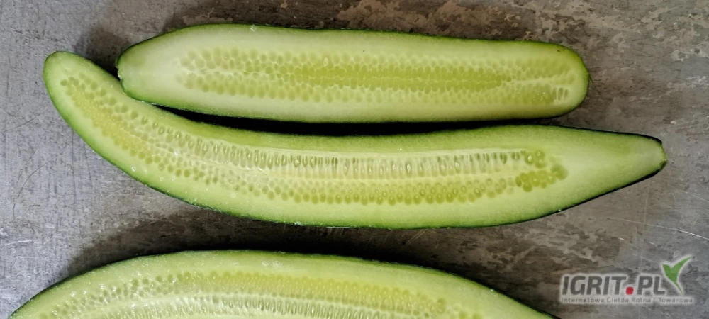 /images/posts/2025/06/2018085/8eMzvtTO95m2Y4VzjCRcZg3KXH0AjKObwqwXA71d.jpeg