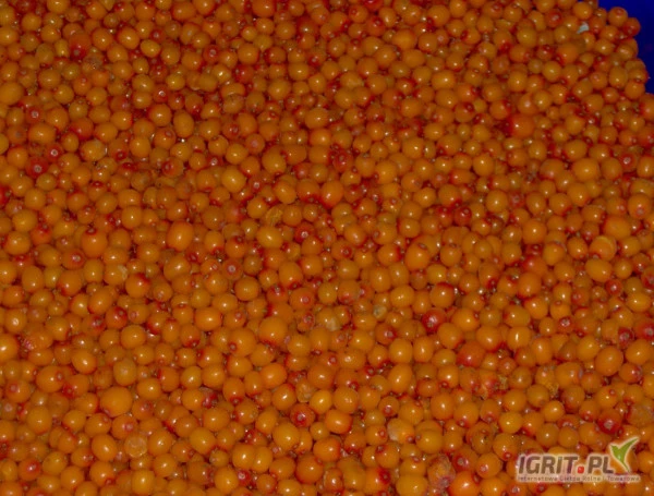 /images/posts/2022/09/1585994/GTHAL3vAqYyJZvP8UXilMlwrbbeAK04I1MdiNdVj.jpeg