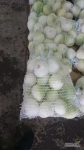 Sprzedam cebulę obraną białą i czerwoną. Lub przyciętą ppdsuszoną. Niedługo także w łusce. Www.dominiak-warzywa.pl. Kolonia...