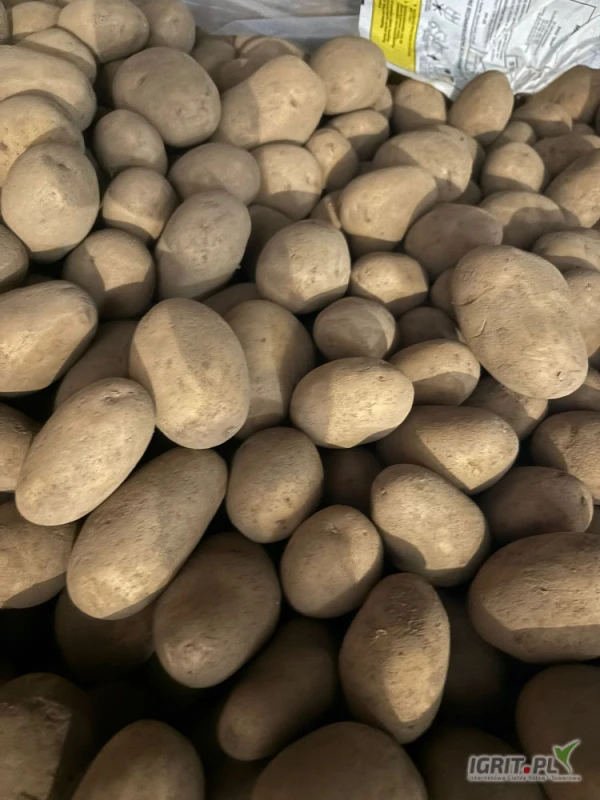 /images/posts/2025/06/2018169/9zjqRBgljw7YcZfSN9wD9f8rELWYl2rXNPQPWkza.jpeg