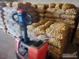 Sprzedam ziemniaki drobne o wielkości sadzeniaka, odmiana Melody, 500 worków po 15 kg.
