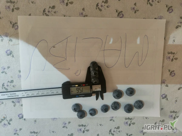 /images/posts/2025/03/1981341/hf9tb17nxGxs5Xml1wphrmKfOQgDkawb8FNYugBv.jpeg