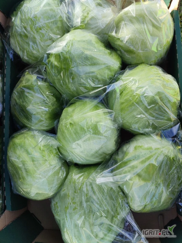 /images/posts/2025/05/2006618/PdUMjQrYlv96RZejblMFVi535DHUenX9ftatel7E.jpeg