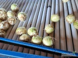 Sprzedam seler młody kaliber 11-15 szt na 5kg opakowanie do uzgodnienia