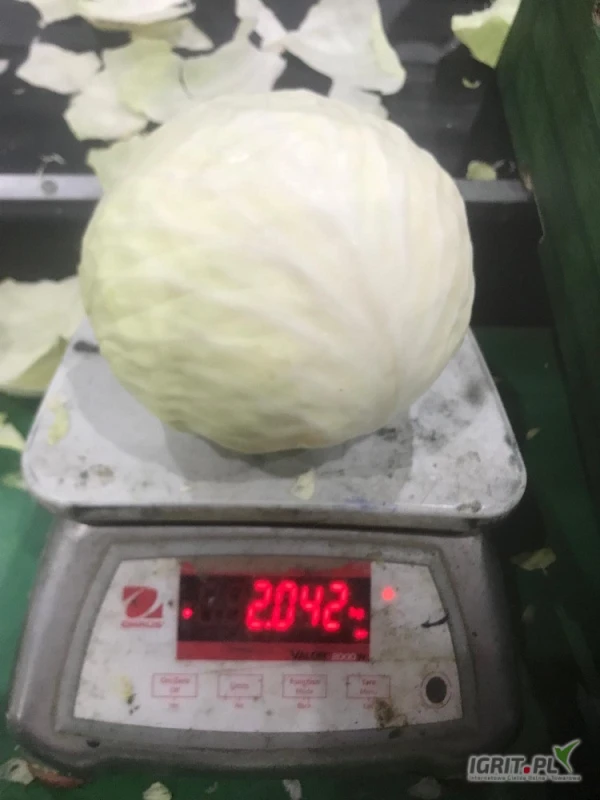/images/posts/2025/05/2006742/5oUlZXtQcrbMsoAik6wBLqSlpWN3oJBQgKlFLlIW.jpeg