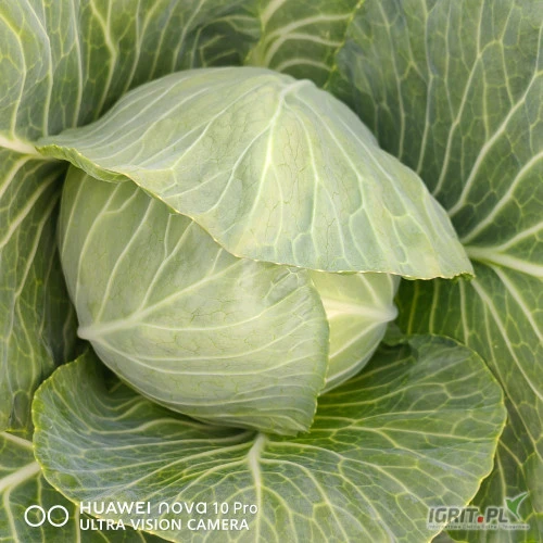 /images/posts/2024/06/1873257/h9CtdAoOkuSFezWiUT2C4kc82BYAQ96BOjj4AF7R.jpeg