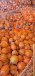 Sprzedam marchew NL, towar marketowy. Worek szyty 10 kg, ilosci paletowe I tirowe.
