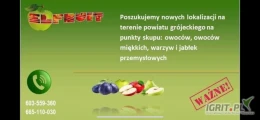ELFRUIT zaprasza do współpracy.