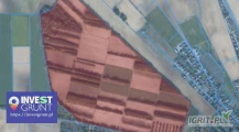 [42,91 ha] przetarg nieograniczony na 5-letnią dzierżawę gruntów rolnych [powiat poznański woj. wielkopolskie] użytek...