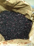 Sprzedam mrozony czarny bez, kl 2. Od 20 ton +. Pakowana worek 25 kg. Kraj pohodzenia Ukraina.