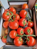 Pomidor 5 kg gałązka Holandia- świeża dostawa Warszawa
