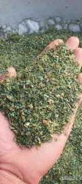 Pietruszka suszonf, klasa premium, Uzbekistan

